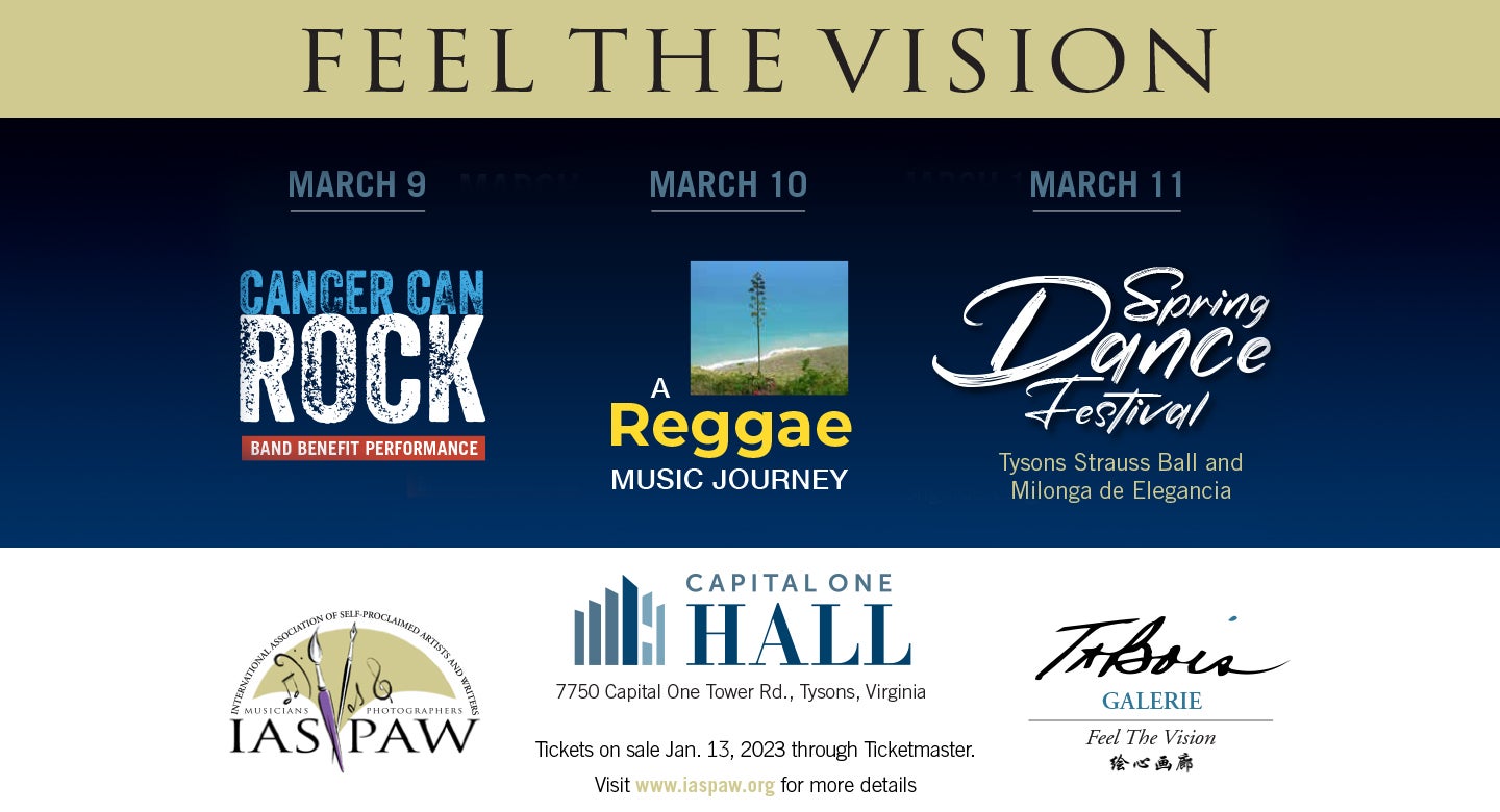 IASPAW PRESENTS: FEEL THE VISION FESTIVAL