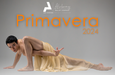 More Info for Primavera 2024 - Benefit Performance