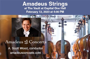 More Info for Amadeus Strings