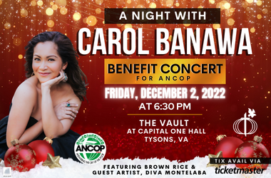 More Info for A Night with Carol Banawa